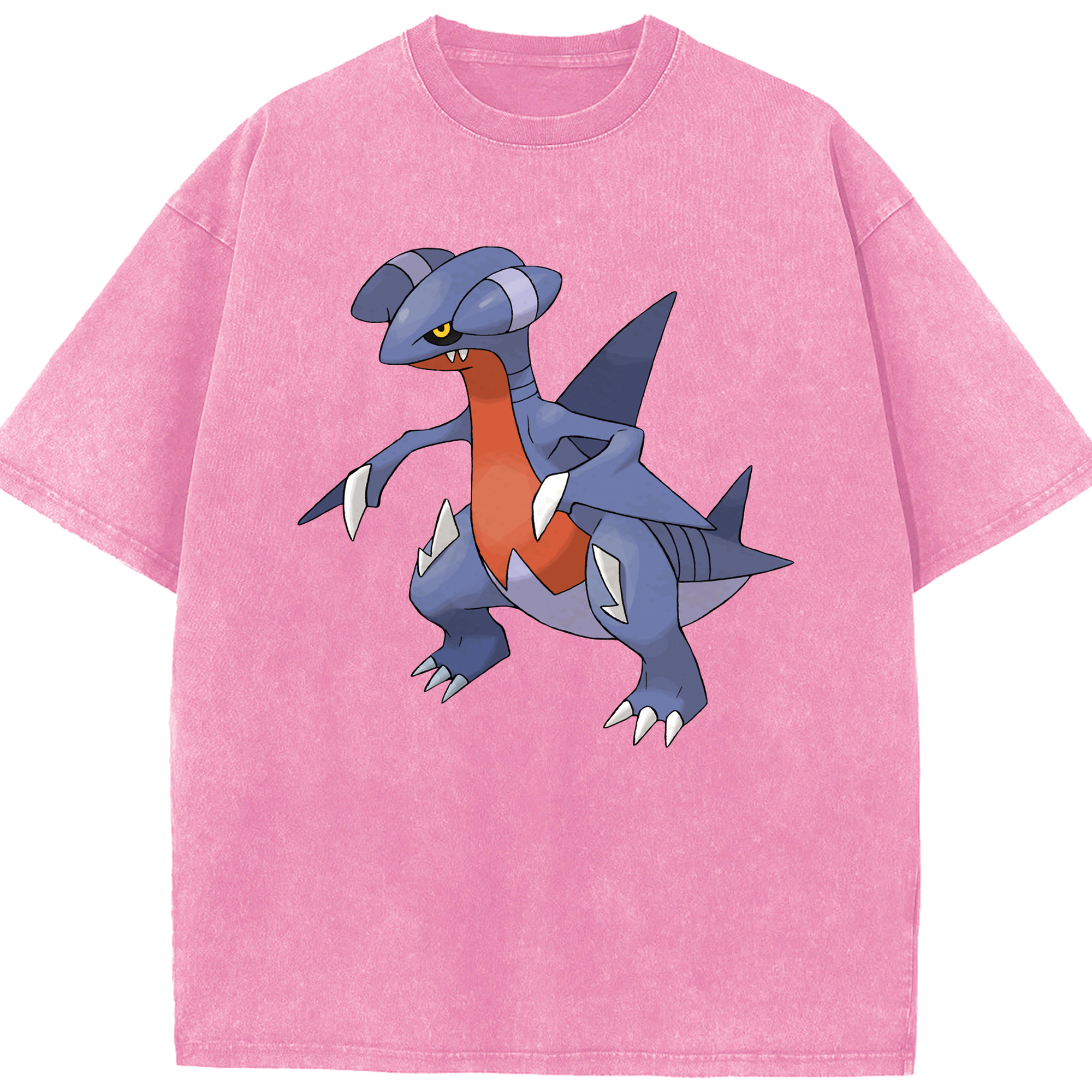 （画像用） ポケットモンスター Pokémon 綿100% ヴィンテージ風 半袖Tシャツ（フロントプリント）